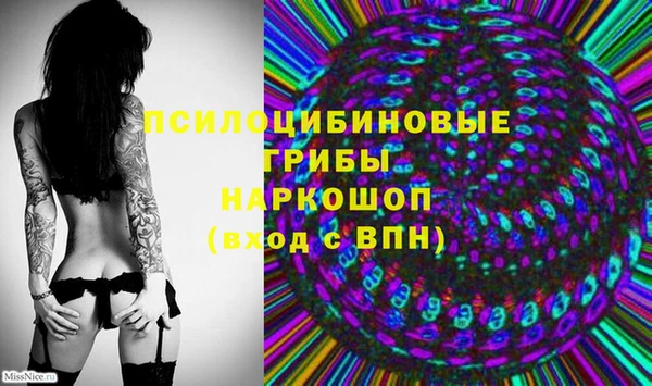 mdma Горняк